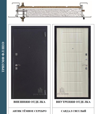 Металлическая дверь Триумф Нео