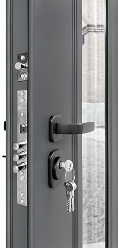 Входная дверь ТЕРМО RX-10 Муар RAL 7024/ белый матовый