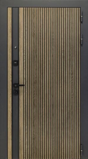 Металлическая дверь Rosna