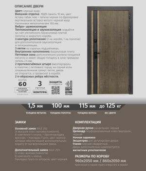 Металлическая дверь Росна