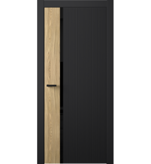 FS 2 D лакобель черное