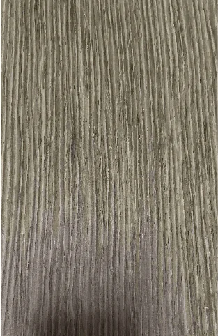 Дуб северный ф.л.