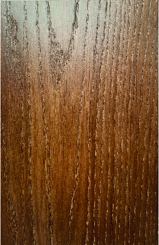 Дуб бургундский