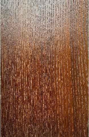 Дуб мореный